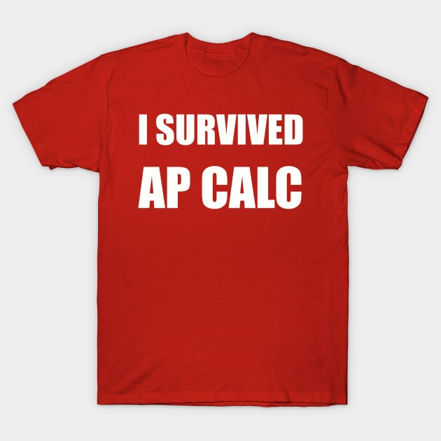 Funny calculus shirts cheap
